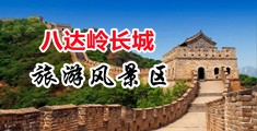 国产在线破处摘花网站中国北京-八达岭长城旅游风景区